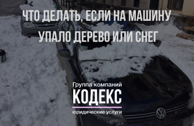 ЧТО ДЕЛАТЬ, ЕСЛИ НА КРЫШУ АВТОМОБИЛЯ УПАЛО ДЕРЕВО ИЛИ СНЕГ С КРЫШИ ДОМА